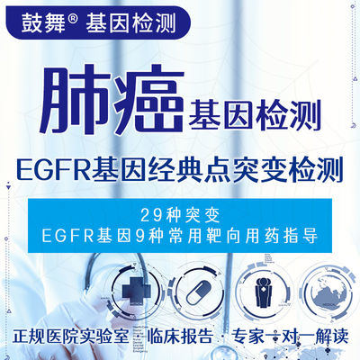EGFR Gene Classical Point Mutation Detection